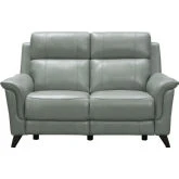 Kester Power Reclining Loveseat in Lorenzo Mint Leather